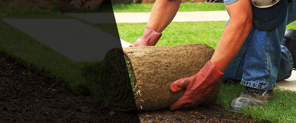 Sauk Rapids Landscapers